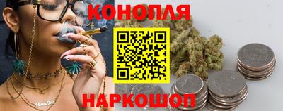 Альфа ПВП Малгобек