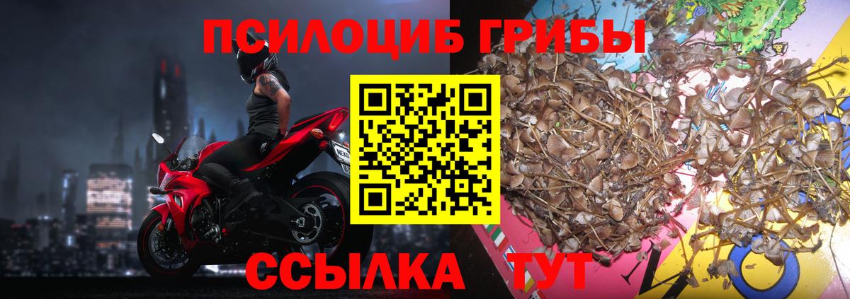 Керчь  Псилоцибиновые грибы MAGIC MUSHROOMS  Вход с VPN 